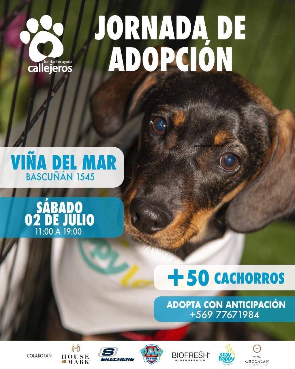 aef71aed-ede1-49f7-96e2-9b2db8d8d477